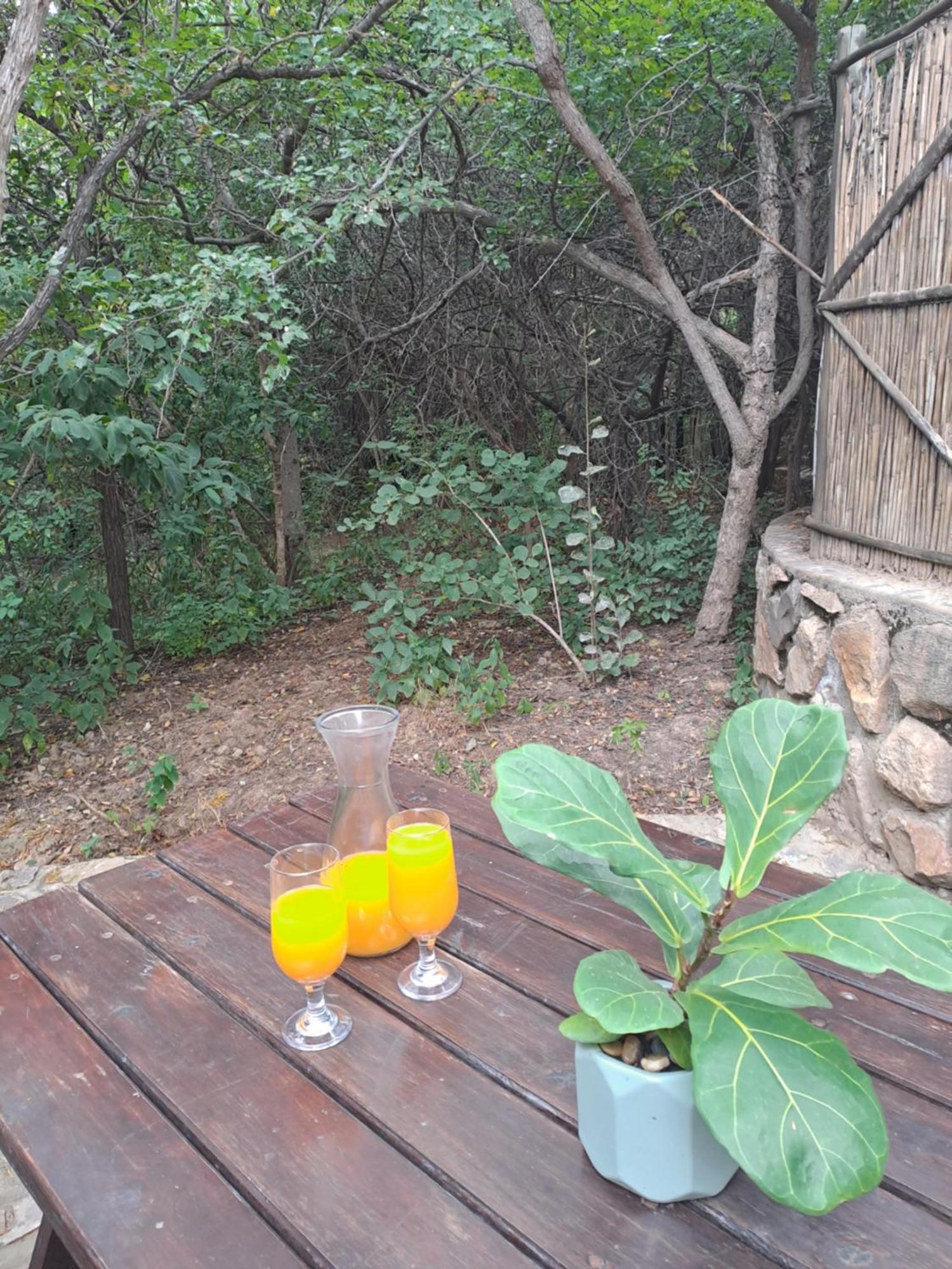 Little Bush Lodge Ходспруит Екстериор снимка