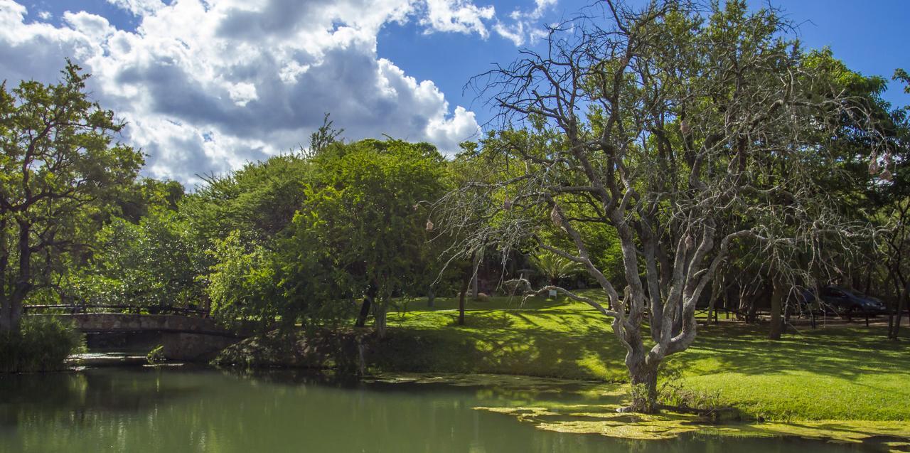 Little Bush Lodge Ходспруит Екстериор снимка